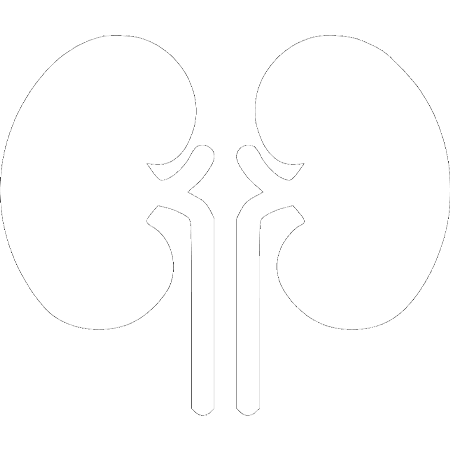 Trasplante Renal